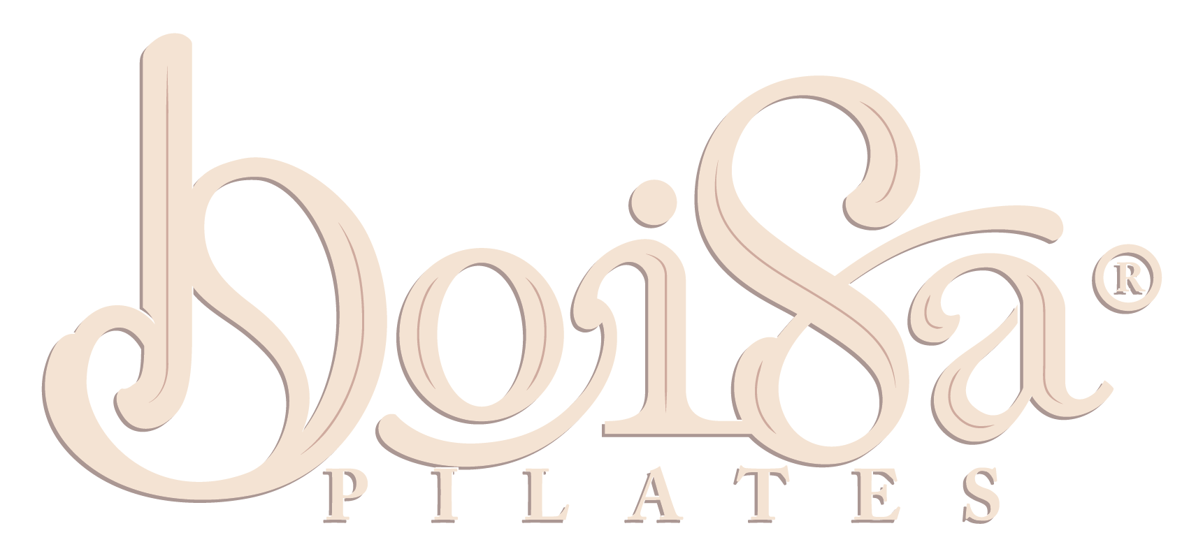 LOGO_BOISA_.gif