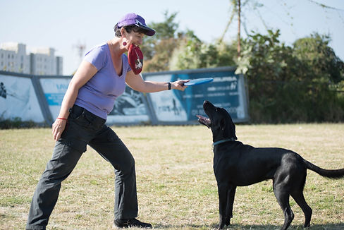 Judy & Ari, Frisbee.jpeg