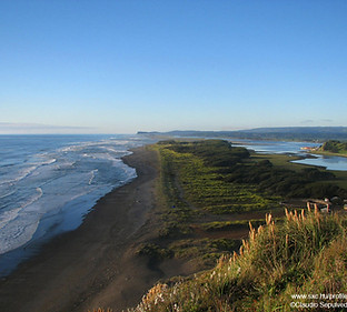 Scenic Shoreline 