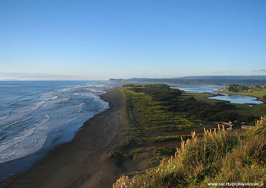 Temperate coastal ecosystems