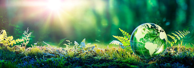 Environment Concept - Globe Glass In Green Forest With Sunlight.jpg