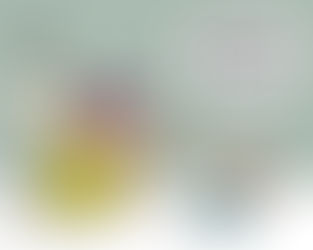 Ensinamento de Mãe!