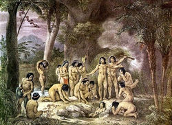 Os Feiticeiros, Ervatários e os Santuários.