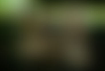 100 bilhões das Teles! Cadê as panelas?