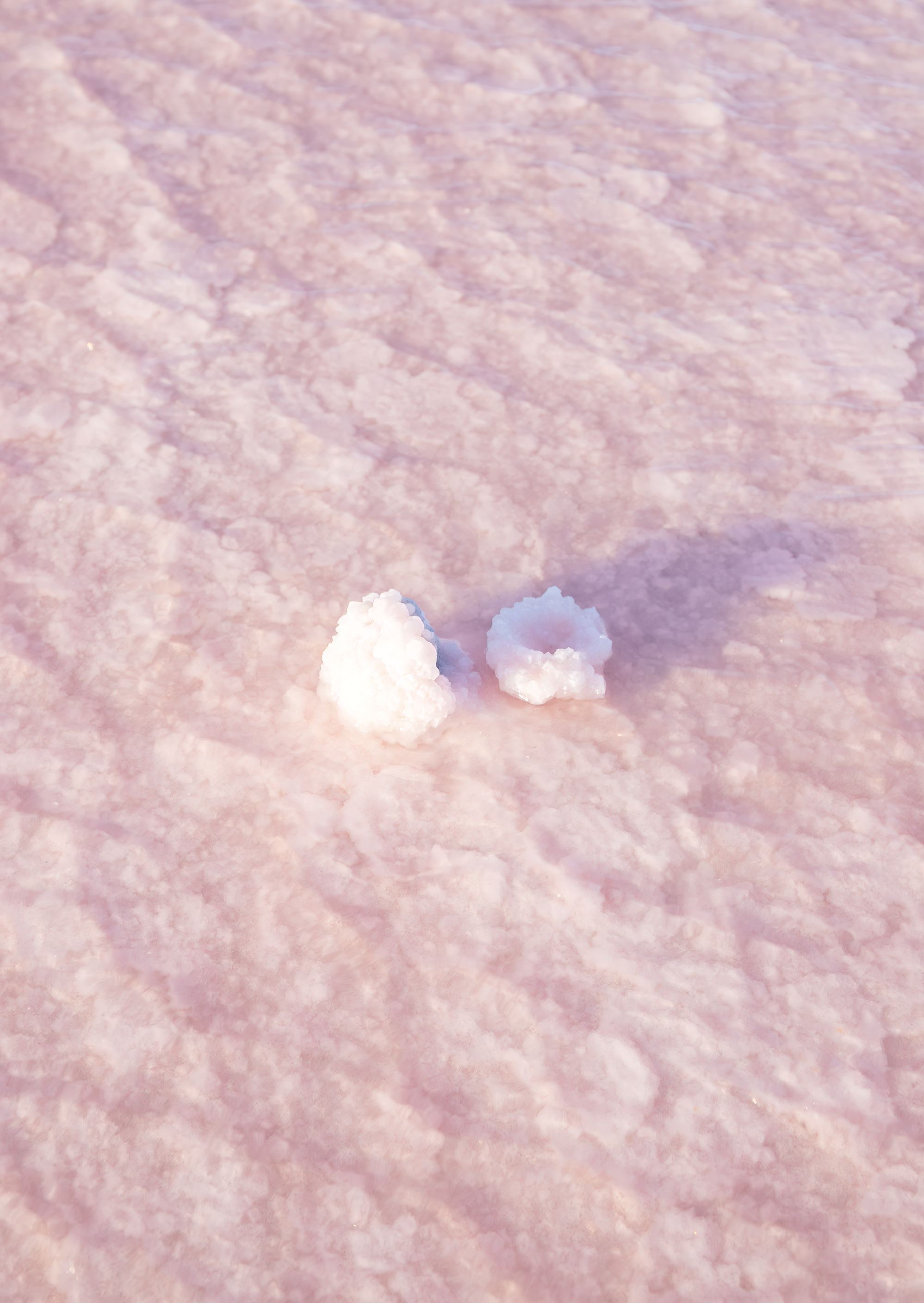 Salt Lake Textures no. 2