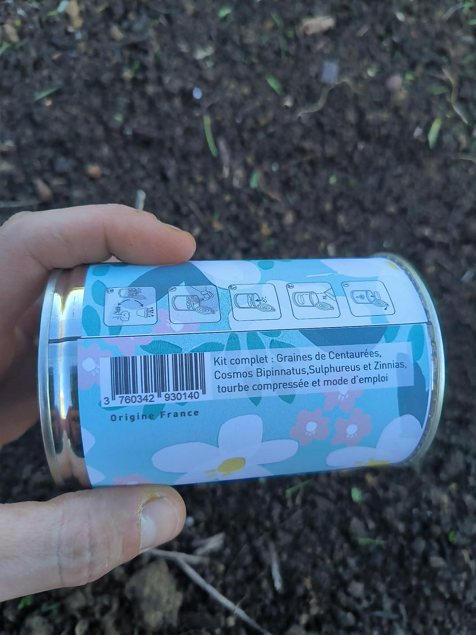 Miniature : Graines à planter "Maman, t'es la plus chiante"