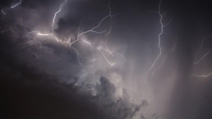 Les orages ont un impact sur les fleurs en bouquet !