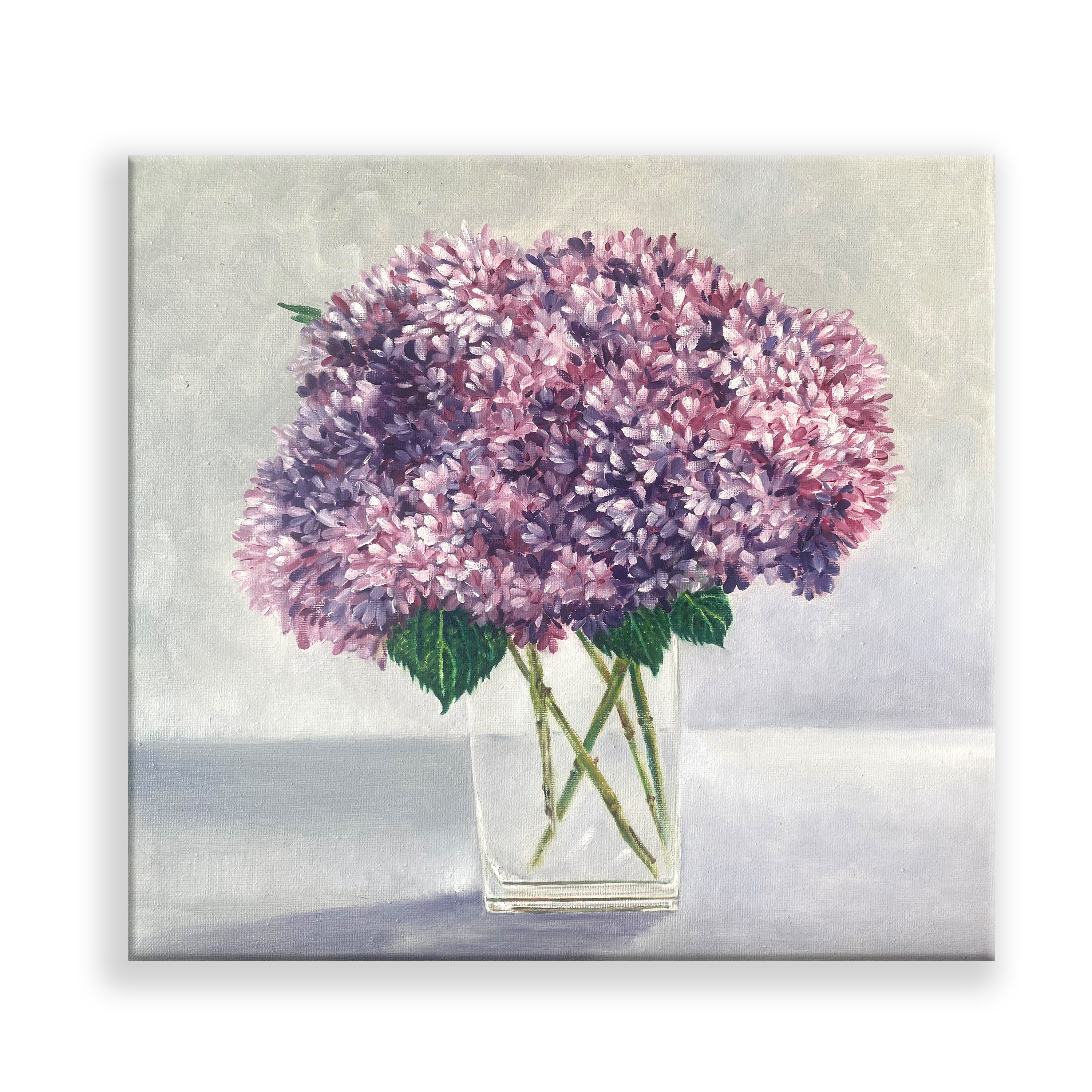 Red and Purple Hydrangeas in the Vase