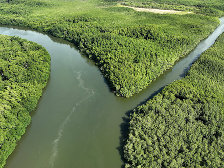 Minam impulsa la protección de los humedales para conservar la biodiversidad y fortalecer la seguridad hídrica