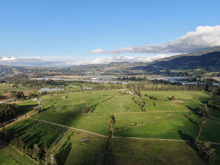 Governo decreta diretrizes ambientais para proteger a água e regulamentar a Savana de Bogotá