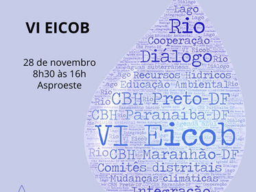 Comitês de Bacias Distritais realizam VI Encontro de Integração