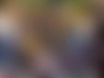 CTECOM avalia avanços e números da mobilização na Bacia do Rio das Velhas