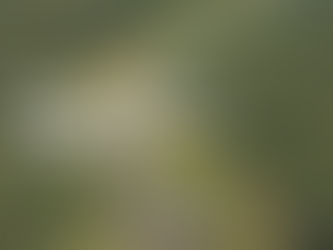 Mês da Água mobiliza programação especial em toda a Bacia do Paranaíba