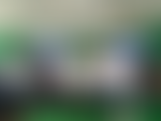 Comitê do Rio Paranaíba entrega biodigestores e reforça saneamento rural em área estratégica de Goiás