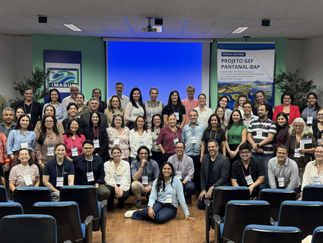 ANA participa da Oficina Nacional do Projeto GEF Pantanal para debater sobre a bacia do Alto Paraguai