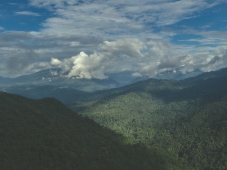 Gobierno aprueba creación del Bosque de Protección Tijae–Río Nieva para conservar fuentes de agua y biodiversidad