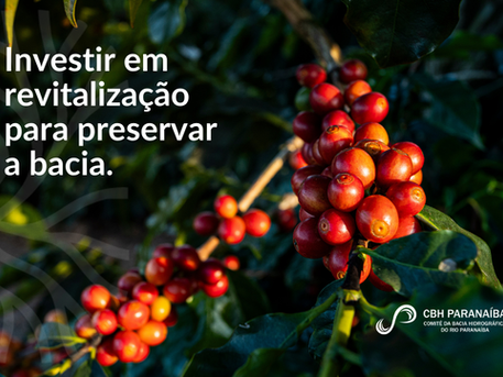 Comitê do Rio Paranaíba consolida parcerias e inicia nova etapa do Programa Café Produtor de Águas em Monte Carmelo (MG)