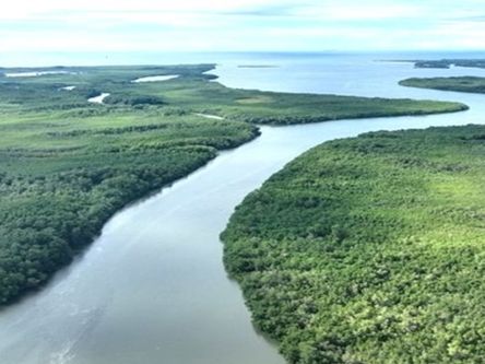 Tumbes cuenta con 5200 hectáreas de manglares bajo distintas modalidades de conservación
