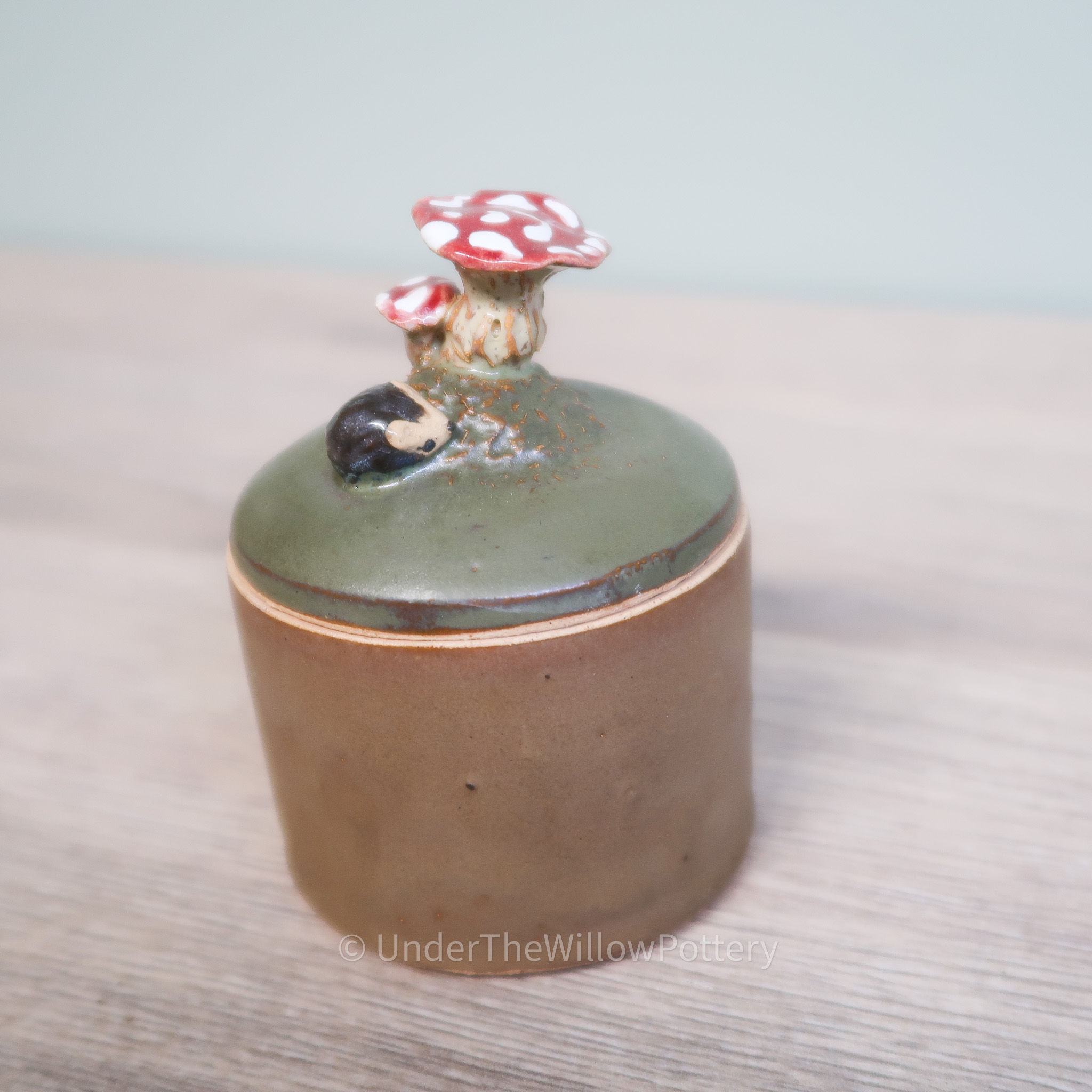 Mushroom Hedgehog Trinket Jar - Earthenware Hand thrown Lidded Box