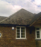 Dirty, moss covered roof in Cambridge before cleaning