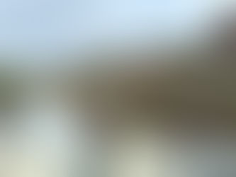 Cambridge Roof cleaning