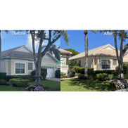 Soft Wash Roof Cleaning