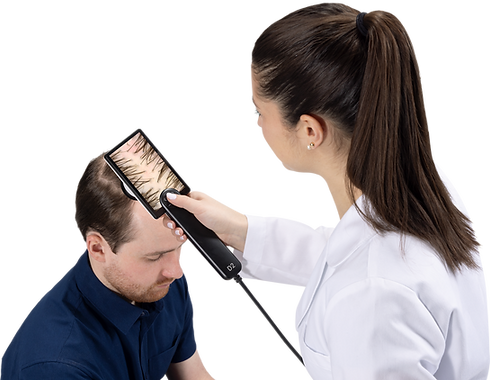 D2 - D2 Hair Capture.png