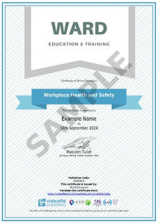 Workplace Health and Safety Certificate