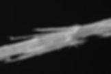 an asbestos fibre viewed under a microscope