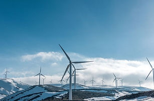A wind farm in a field
