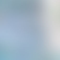 子ども・親共にもりあがっているすがたがみれてとてもよかった