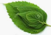 Organic Products