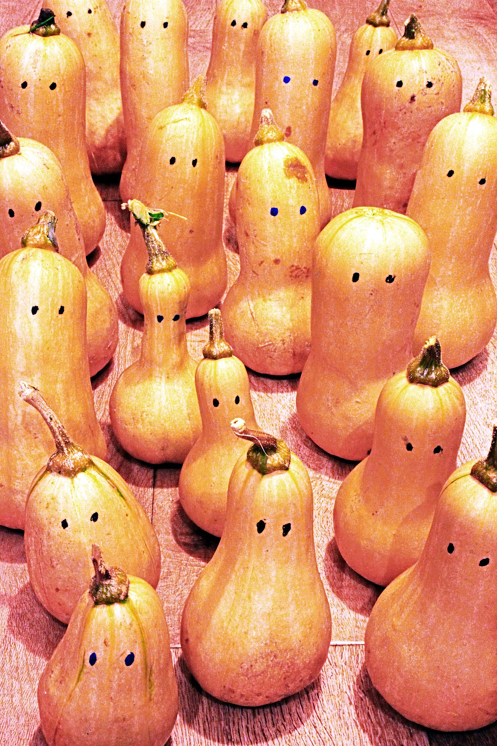 An Organic Field for the British Middle Classes