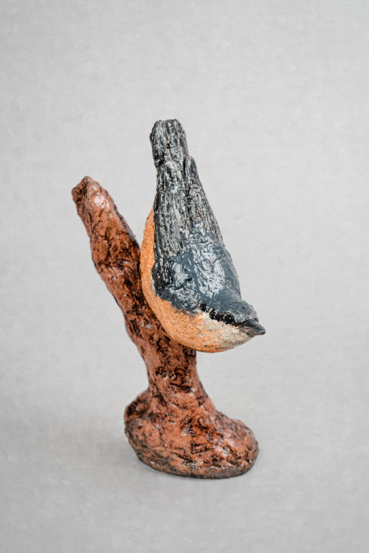 Nuthatch