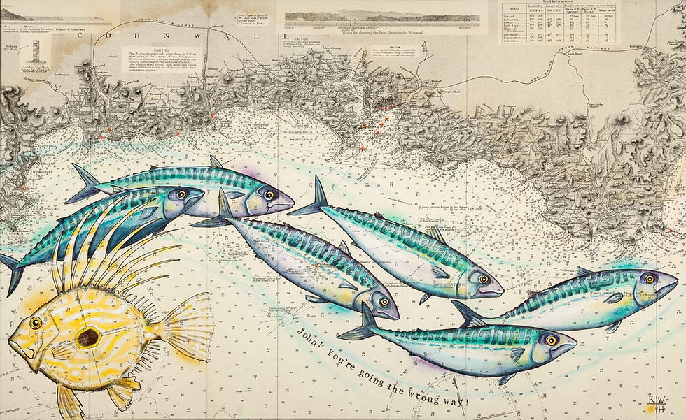 Mr Dory and the Mackeral