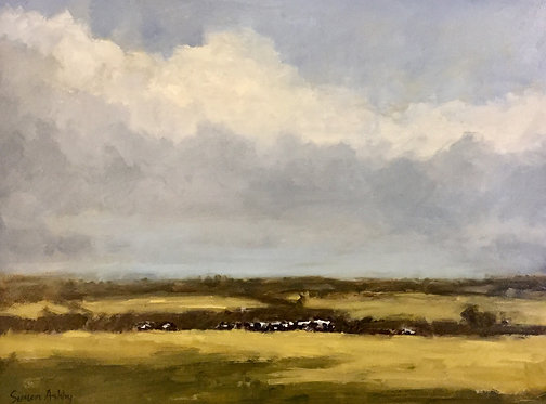 Devon Pasture