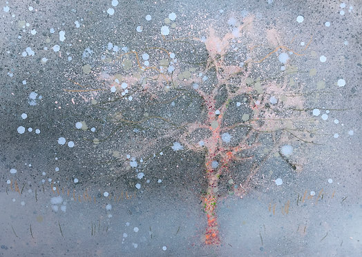 Sapling in Snow