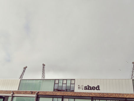 Beach Hut Culture Update: February 2019