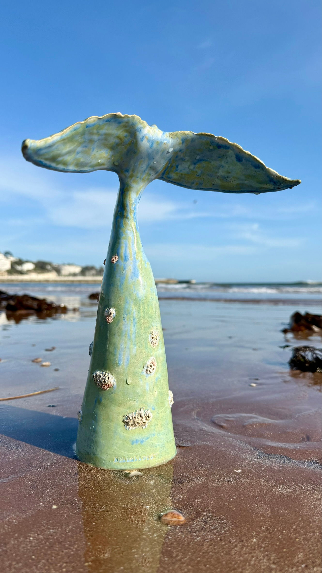 Mr Whale