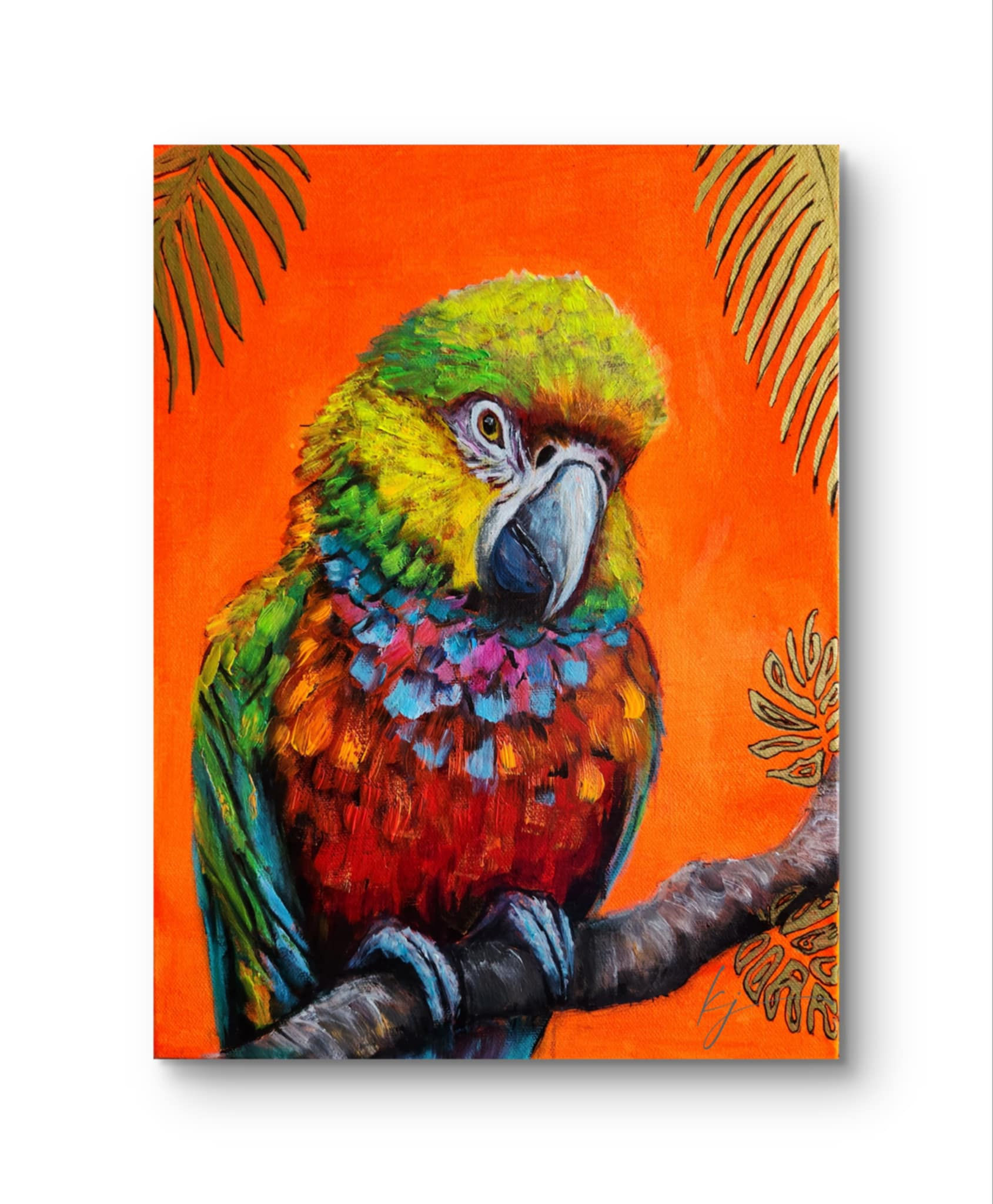 Pretty Boyz - MultiColour