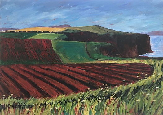Fields Near Budleigh