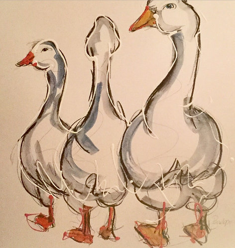 Geese