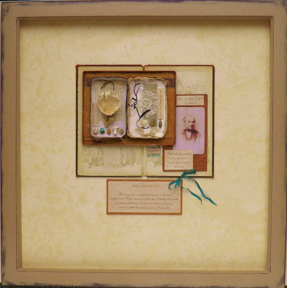 Miss Clara Knight's Curious Collections. Seashore Specimens (viii)