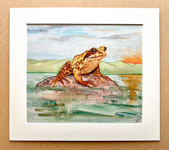 The Frog