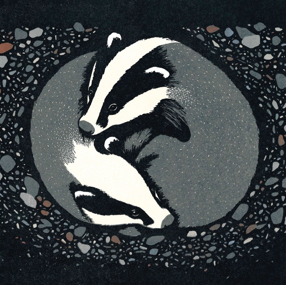 Badger Embrace