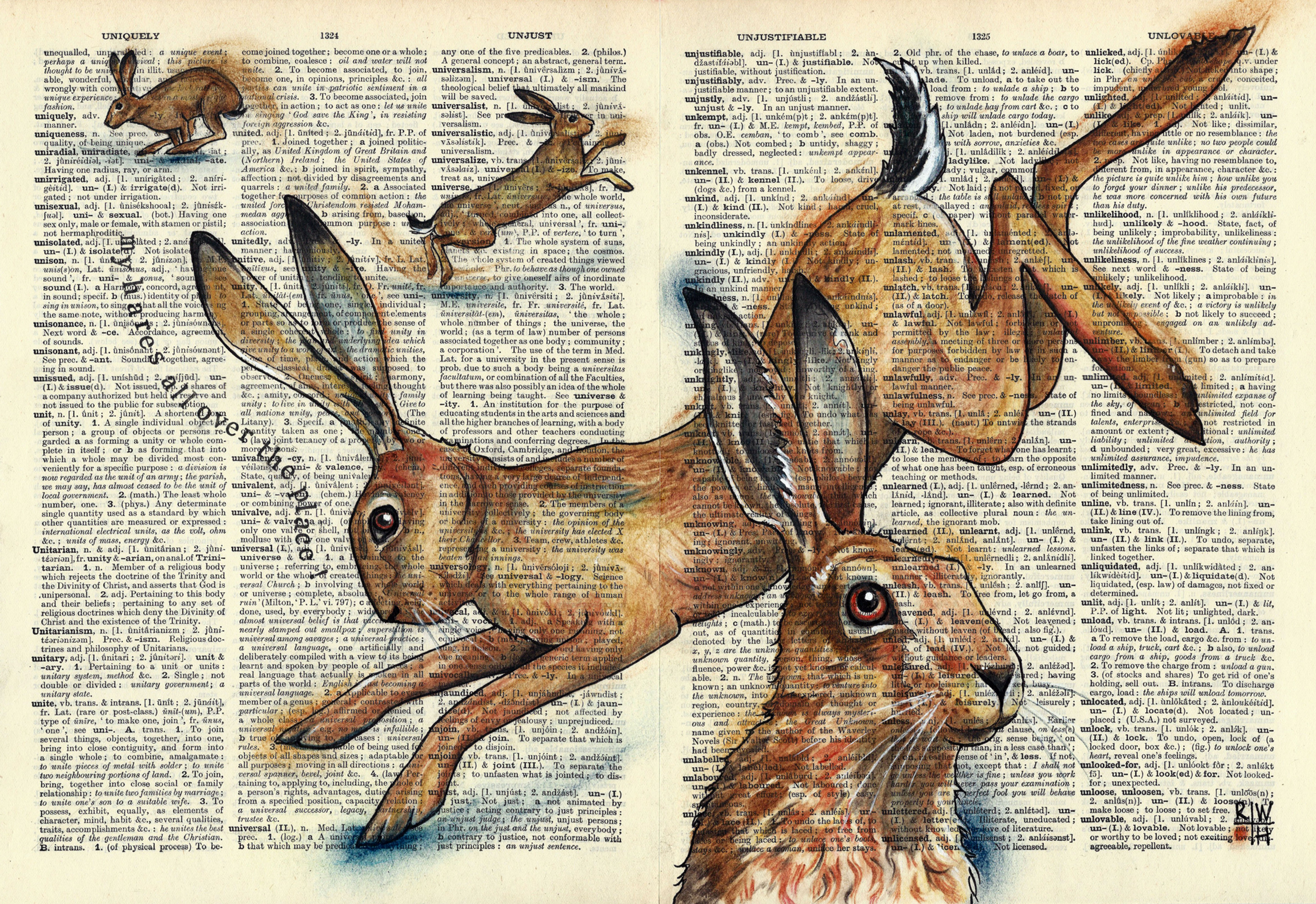 Unkempt: My Hares All Over the Place