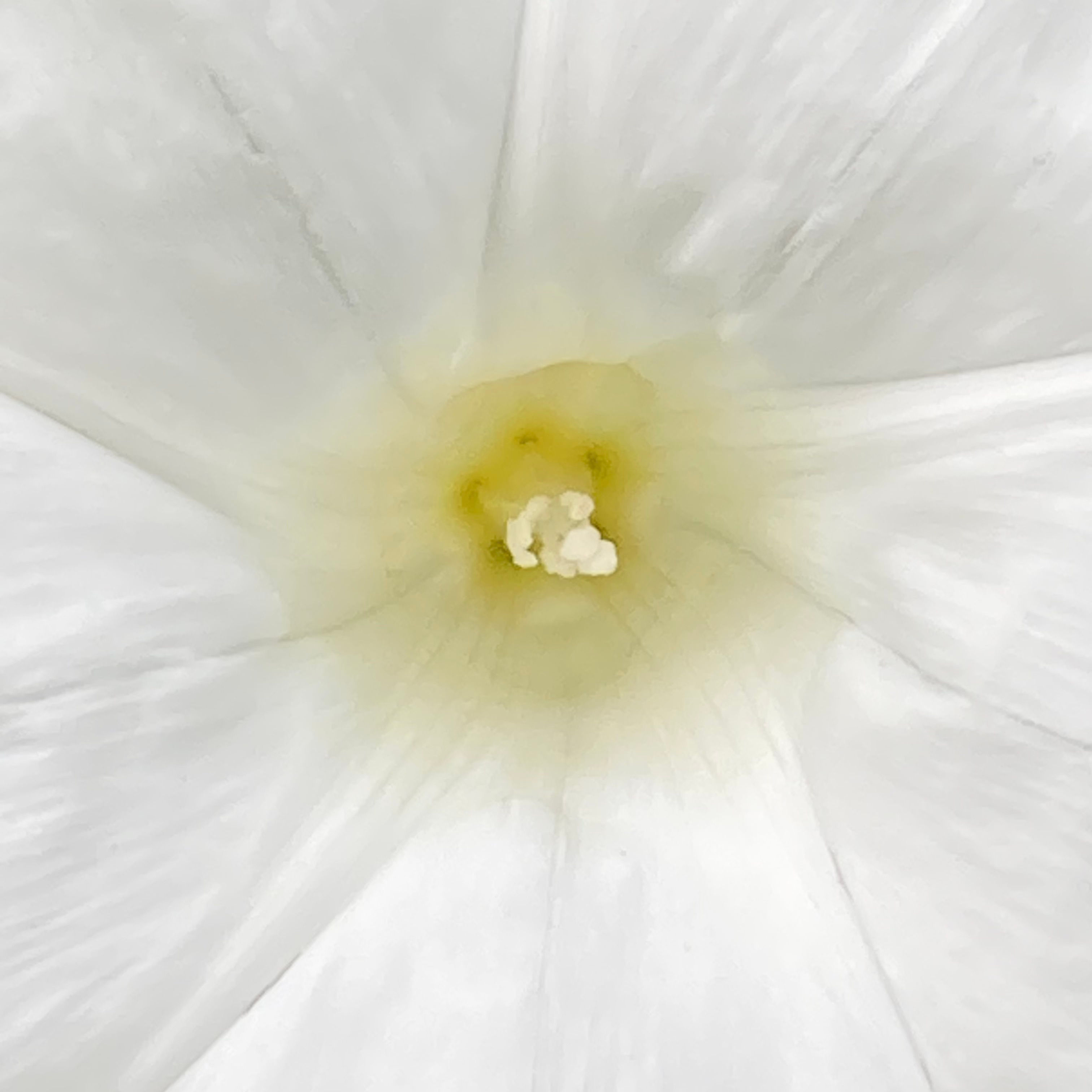 The Centre Of Things