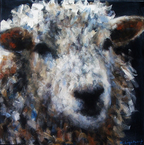 Sheep Portrait