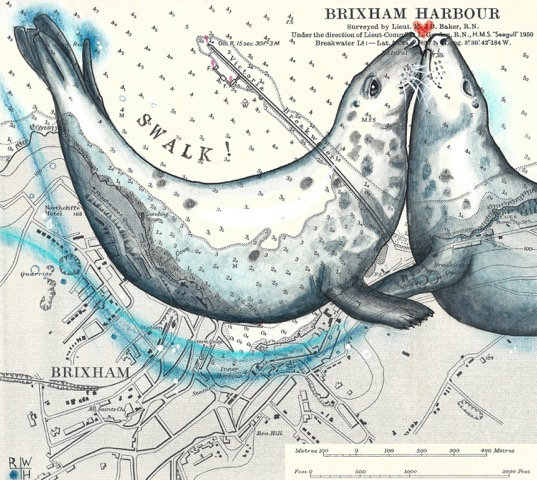 Brixham Seals: S.W.A.L.K.