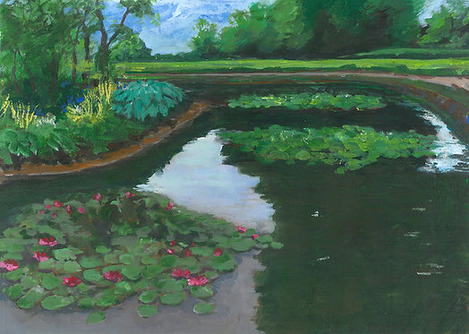 Lily Pond